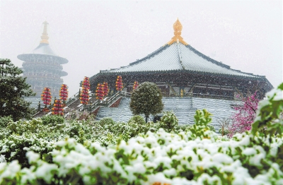 雪落中原气象新 小麦正处于拔芽期 生产要注意什么