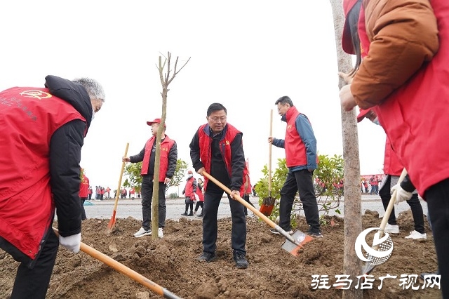 正阳县总工会开展义务植树活动