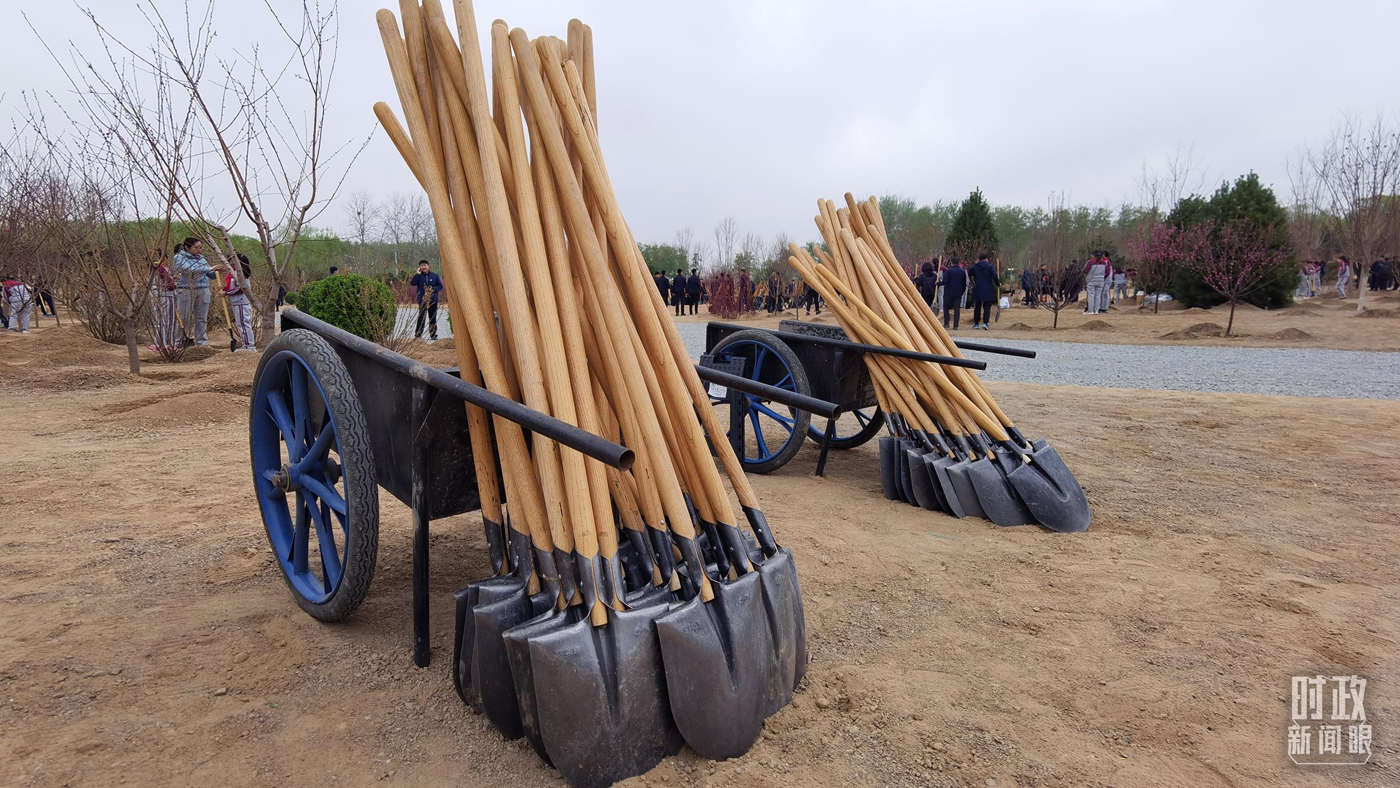 时政新闻眼丨在今年首都义务植树现场，习近平这三句话饱含深意