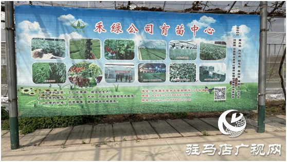 不负春日好时光 “禾绿”大棚出苗忙