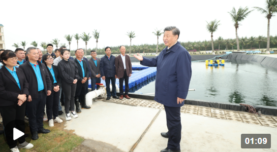独家视频丨习近平在广东考察调研