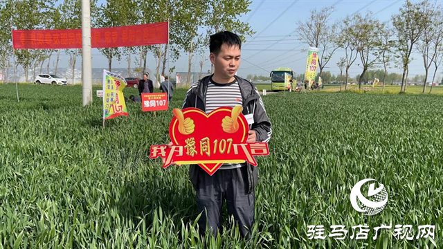 重磅！吨源种业再添强势小麦品种，豫同107助农增产丰收！