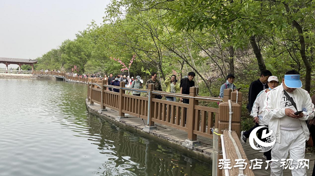 祥龙谷景区第三届“山花节”暨旅行社采线启动仪式成功举行