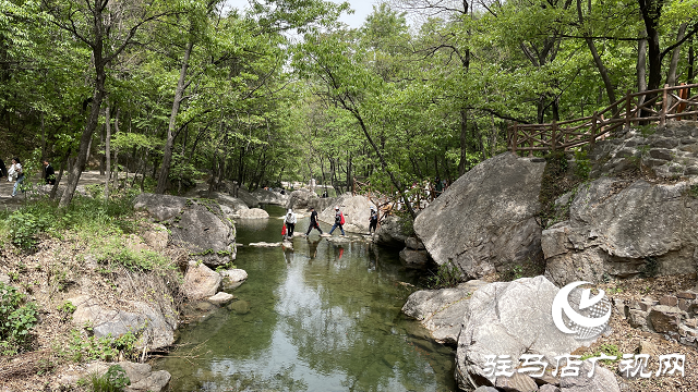 祥龙谷景区第三届“山花节”暨旅行社采线启动仪式成功举行