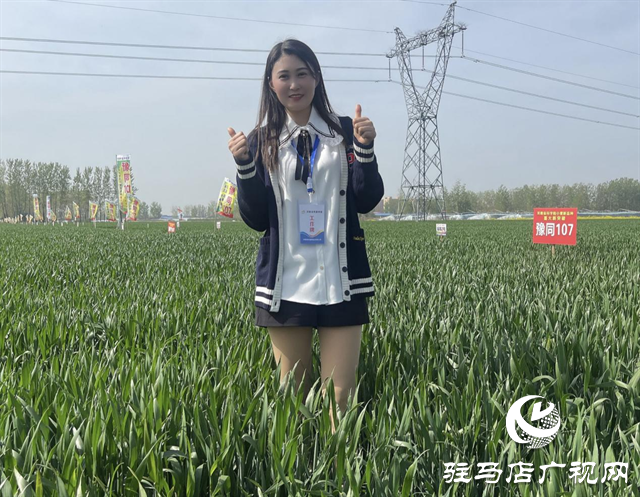 重磅！吨源种业再添强势小麦品种，豫同107助农增产丰收！