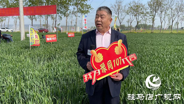 重磅！吨源种业再添强势小麦品种，豫同107助农增产丰收！