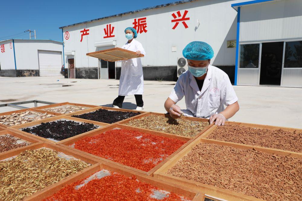  时政微观察丨总书记多次考察专业合作社，有何深意？