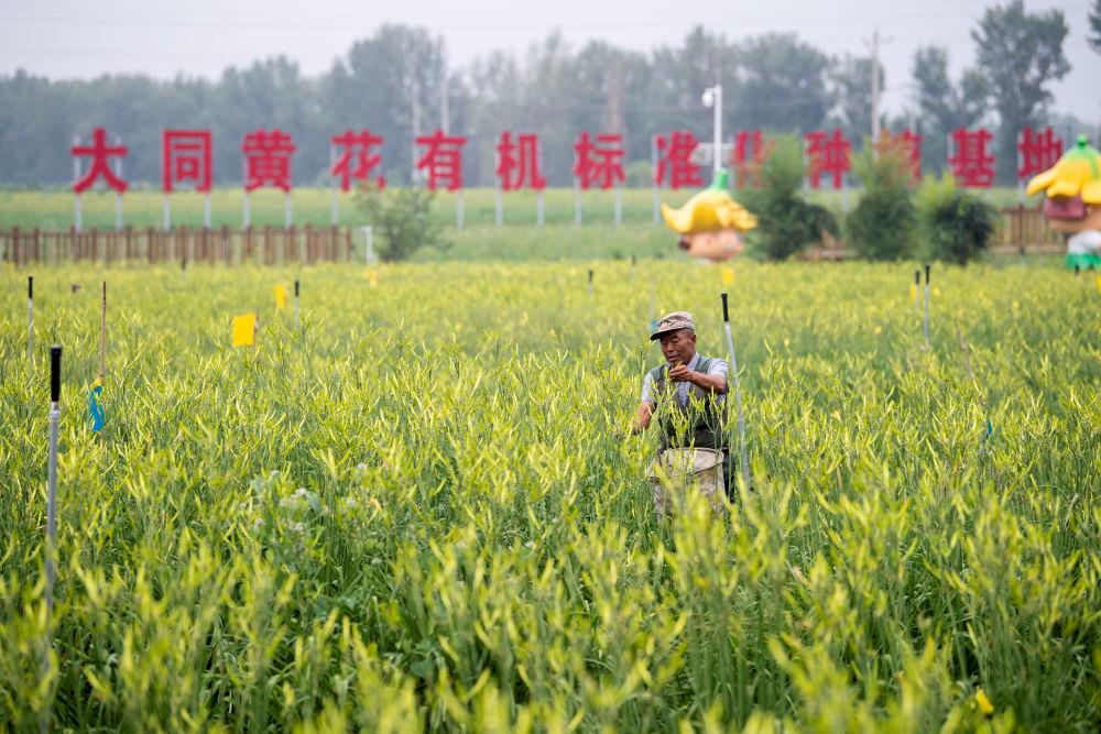  时政微观察丨总书记多次考察专业合作社，有何深意？