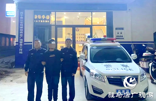 十小时！西平警方破获系列盗窃沿街门店案件