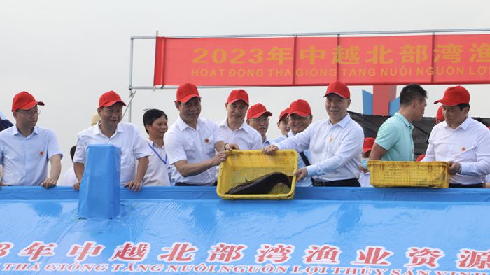 中越联合举行2023年北部湾渔业资源增殖放流活动