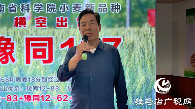 引领小麦新方向！吨源种业2023年豫同107观摩会隆重召开