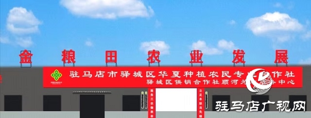 “浚麦8105”一枝独秀 表现抢眼