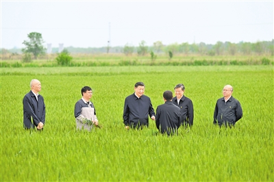 习近平：以更加奋发有为的精神状态推进各项工作 推动京津冀协同发展不断迈上新台阶