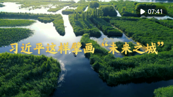 习近平总书记指引雄安新区规划建设的故事