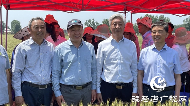 2023年“郑麦1860”小麦现场观摩会在驻马店成功召开