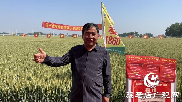 2023年“郑麦1860”小麦现场观摩会在驻马店成功召开