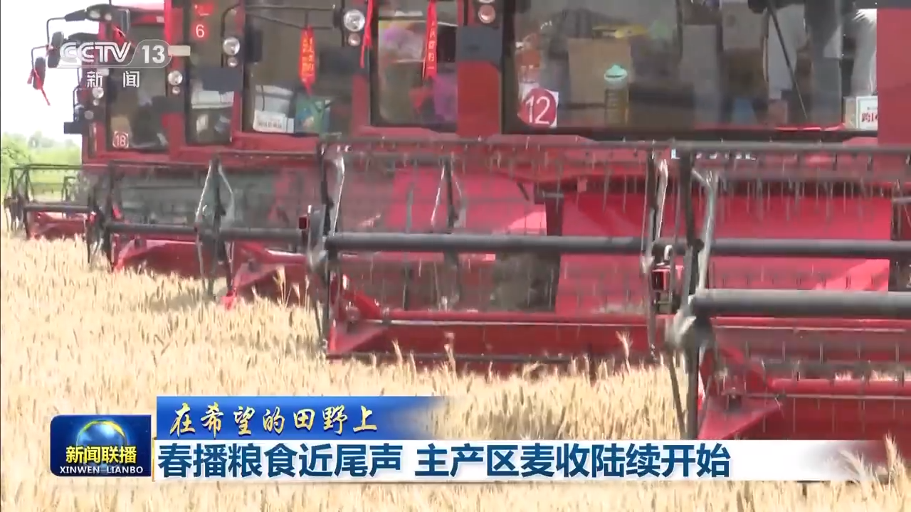 8.1亿亩！全国春播粮食进度约90% 5月底冬小麦将大面积收获