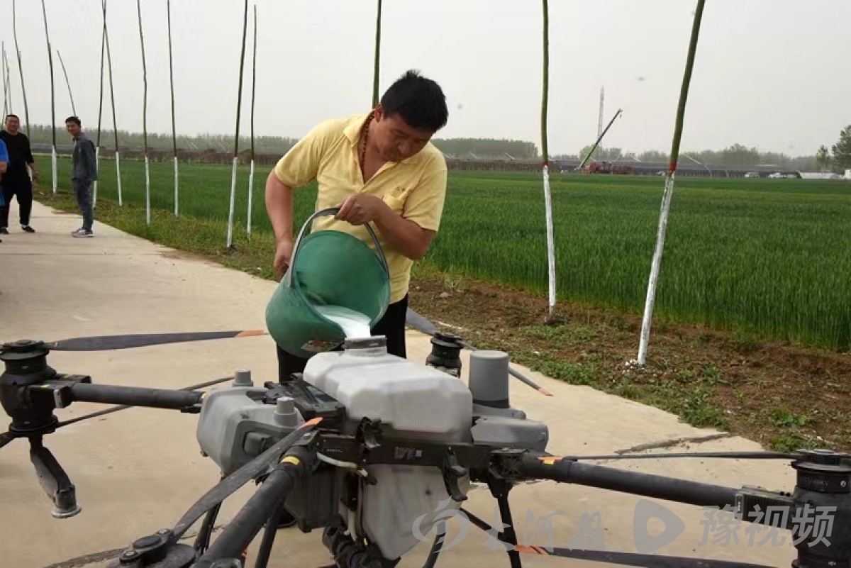 汝南县：强化服务监督 高质量做好小麦重大病虫害防治