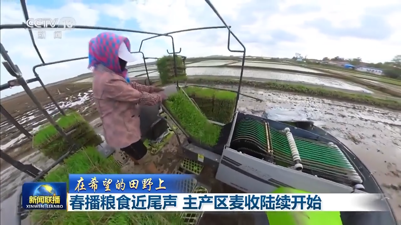 8.1亿亩！全国春播粮食进度约90% 5月底冬小麦将大面积收获
