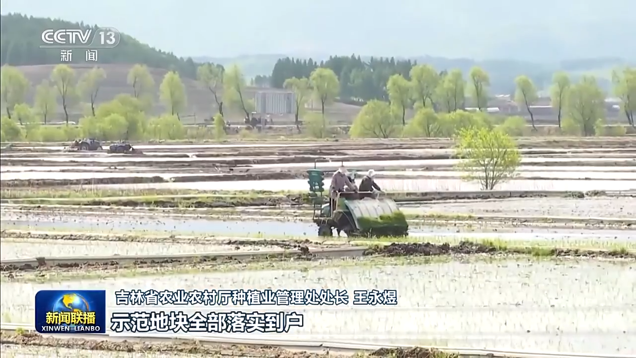 8.1亿亩！全国春播粮食进度约90% 5月底冬小麦将大面积收获