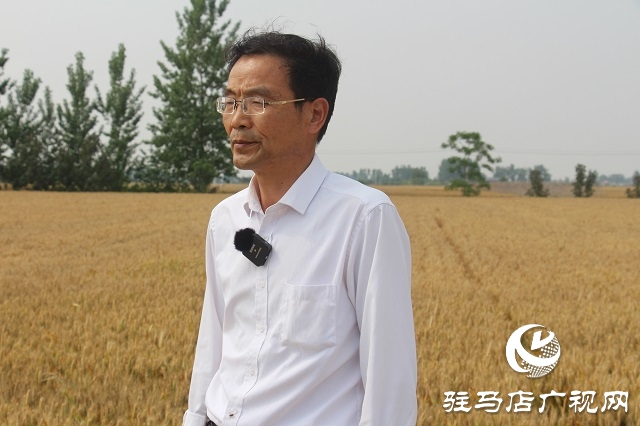 植保专家提醒：密切关注天气变化 做好农田抢收抢种