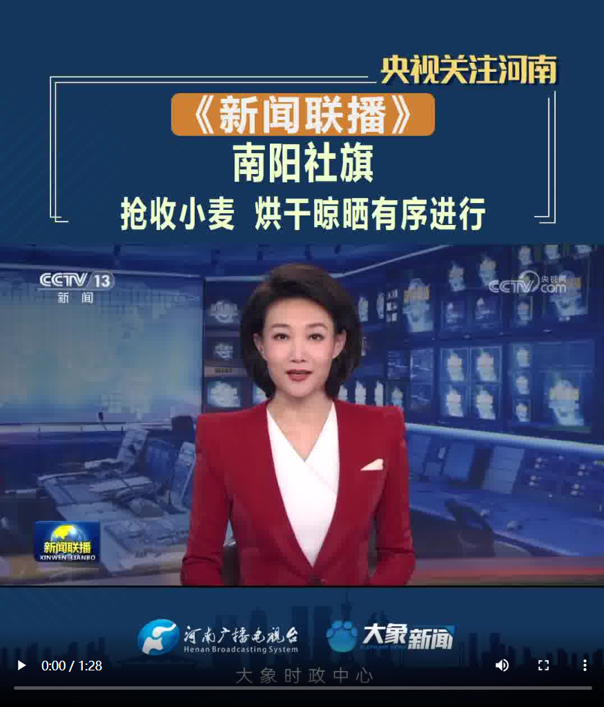 【央视联播关注河南社旗】抢收小麦 烘干晾晒有序进行
