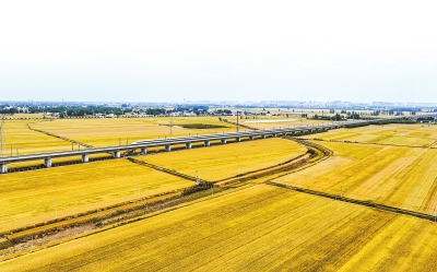 环环相（豫见好丰景——开局之年探“三夏”）——坚决打赢打好夏粮丰收攻坚战之二