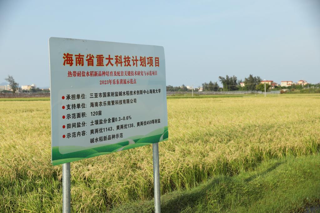 习近平总书记关切事丨做好这篇“大文章”，田间地头有答卷