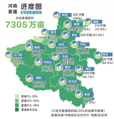 全力以赴战“三夏”丨麦田“双抢”记