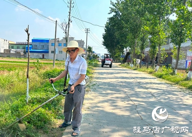 泌阳县郭集镇：大家齐动手 共建美家园