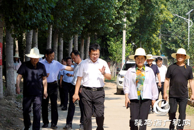 泌阳县开展农村人居环境整治观摩评比活动