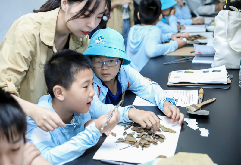 专家谈暑假研学旅行如何做好“研”与“学”