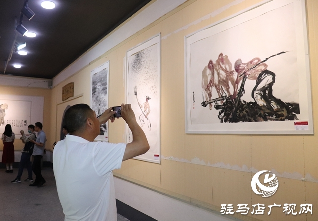 汝南县板店乡：乡村画展引客来