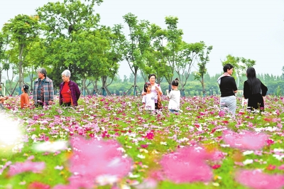 新时代 新征程 新伟业丨国际花园城市竞赛，信阳凭啥“蟾宫折桂”