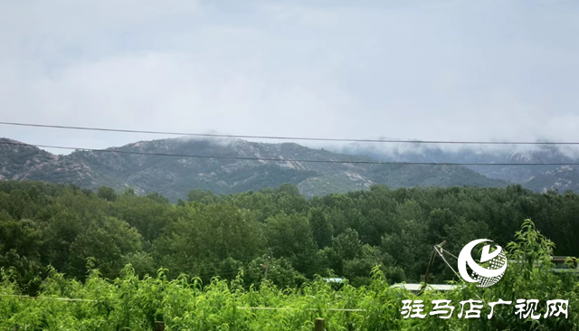 泌阳县马谷田镇河南村：“直播带货”带起产业发展新模式