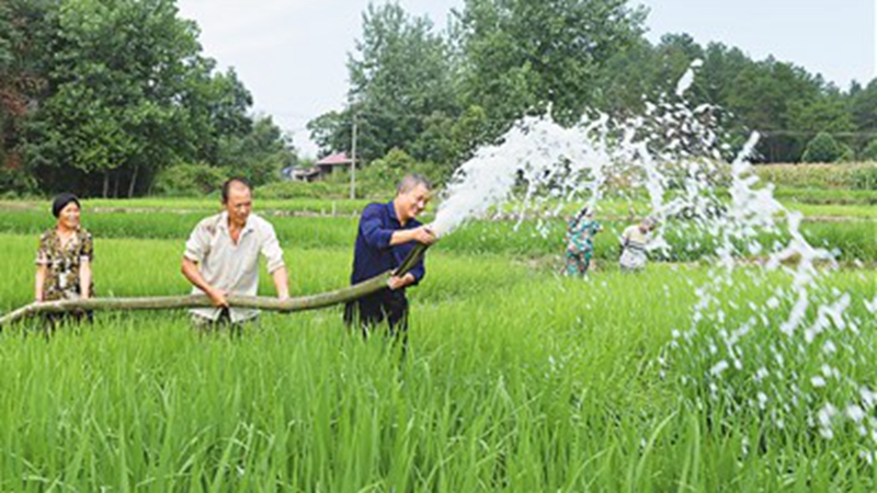 粮食生产如何应对今夏“大烤”？