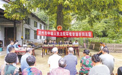 巡回法庭进林区