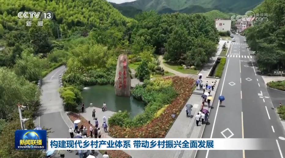 【新思想引领新征程】构建现代乡村产业体系 带动乡村振兴全面发展