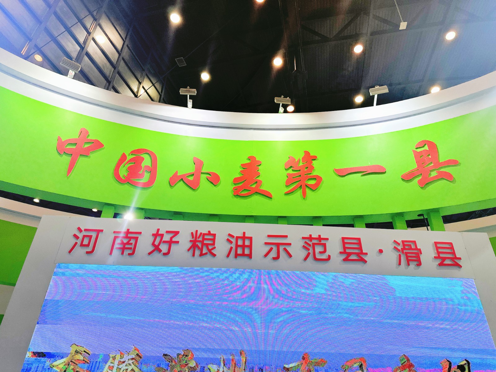 透过粮交会看河南粮食转变：用实力“圈粉” 让“中国碗”装满“河南粮”