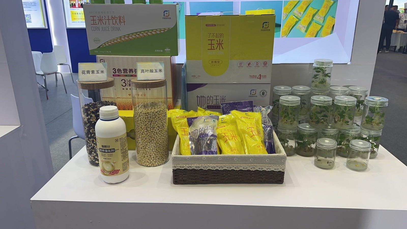 聚焦第五届中国粮食交易大会：科技范儿十足 用心守护“舌尖上”的产业