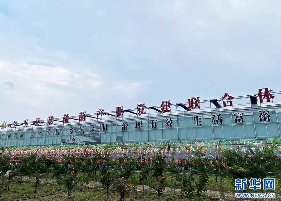 河南宝丰：“移民村”变身“宜居宜业村”