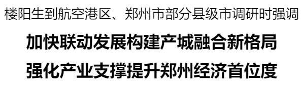 楼阳生到航空港区、郑州市部分县级市调研