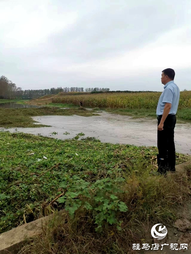 汝南县板店乡：排水除涝保丰收