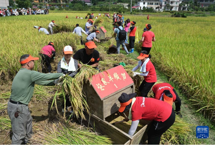 中国农民丰收节｜古诗词里的丰收之韵