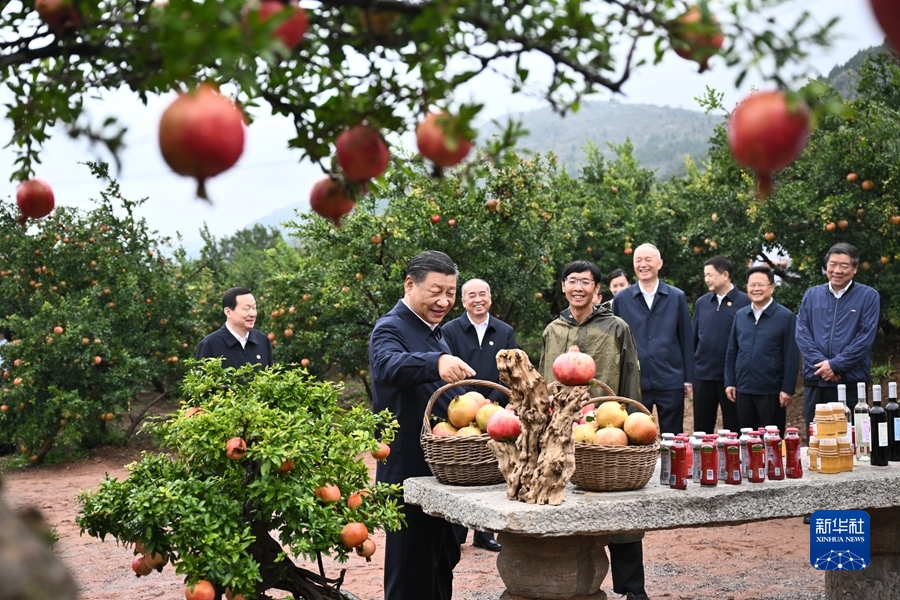 习近平在浙江考察时强调 始终干在实处走在前列勇立潮头 奋力谱写中国式现代化浙江新篇章 返京途中在山东枣庄考察