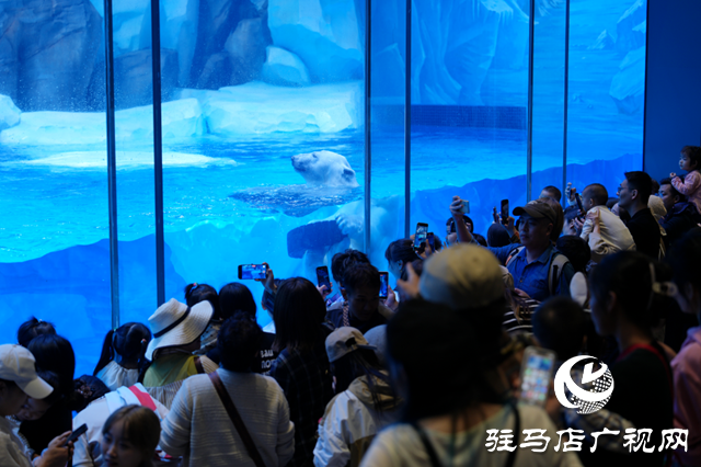 驻马店多家旅行社负责人赴郑州海昌海洋旅游度假区进行踩线活动