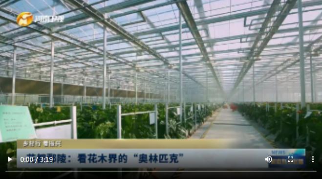 花都鄢陵：看花木界的“奥林匹克”|乡村行 看振兴