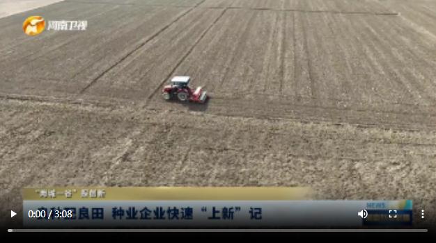 良种配良田 种业企业快速“上新”记丨“两城一谷”探创新