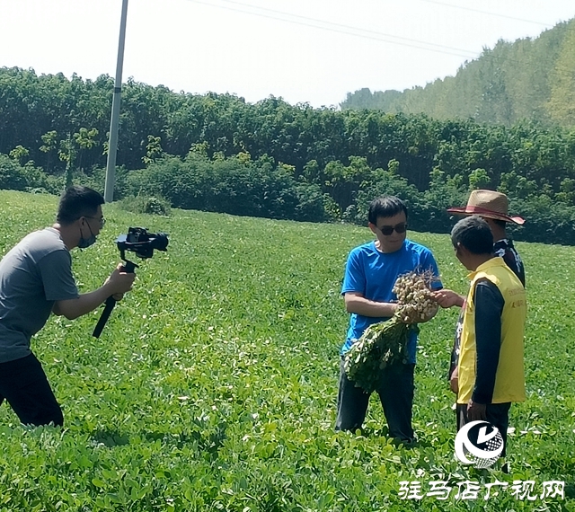 正阳县：家庭农场解锁乡村致富“密码”