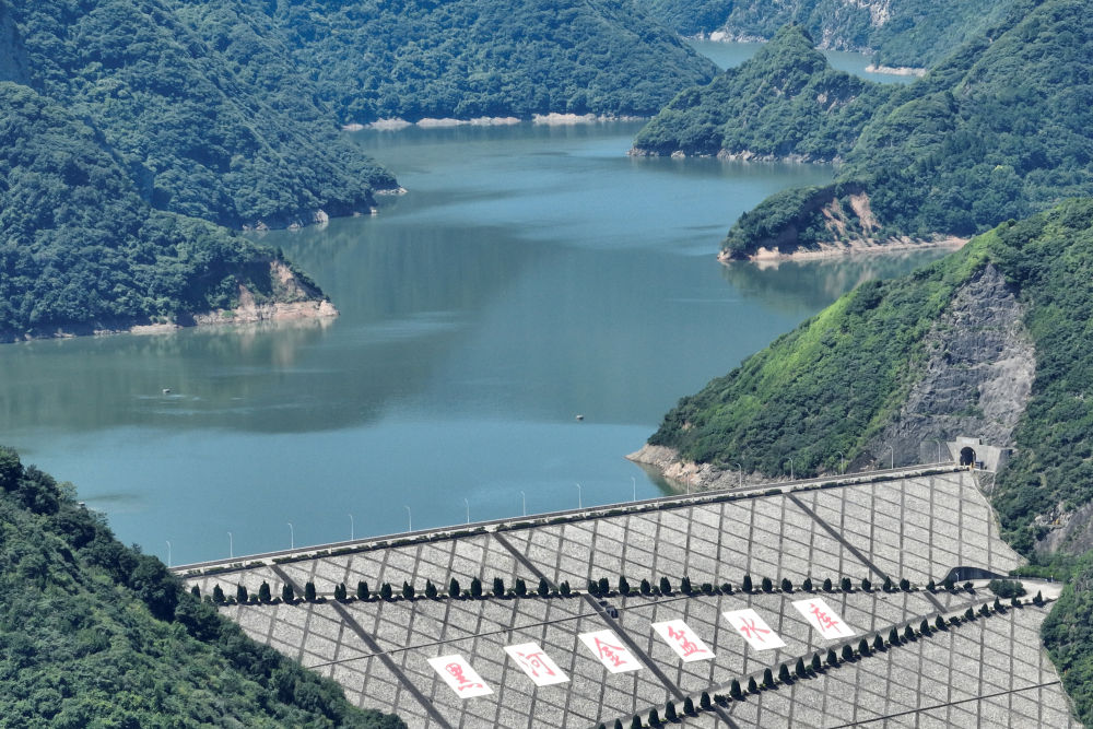 共护母亲河安澜——黄河流域水利保护纪实